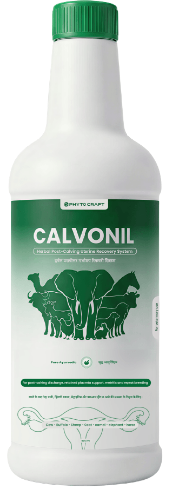 Calvonil