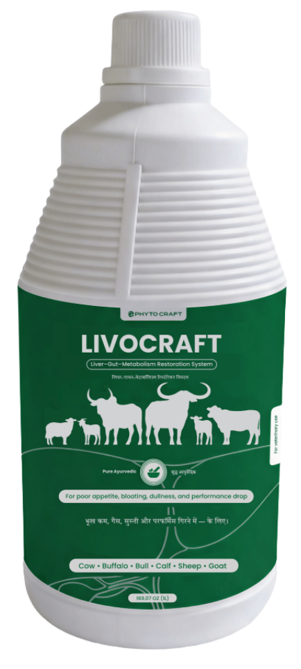 Livocraft