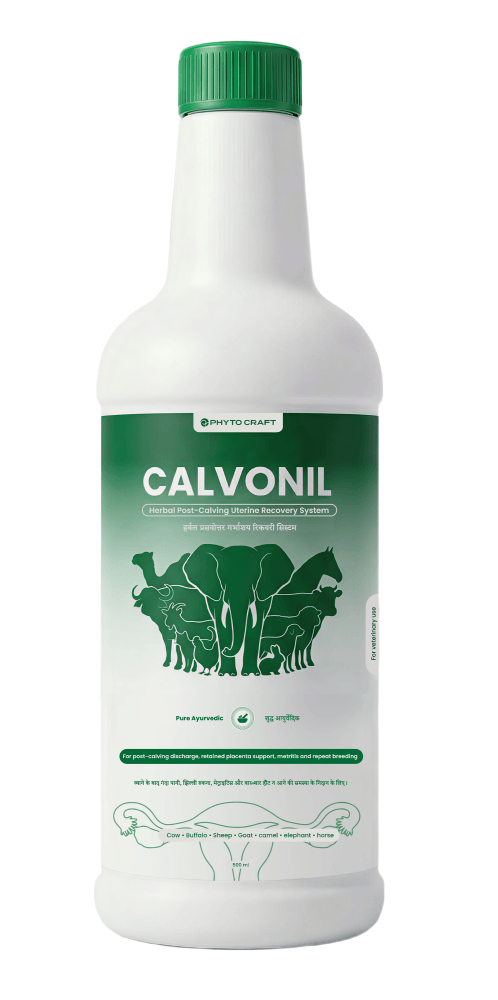 Calvonil